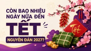 Còn Bao Nhiêu Ngày Nữa Đến Tết Nguyên Đán 2027?