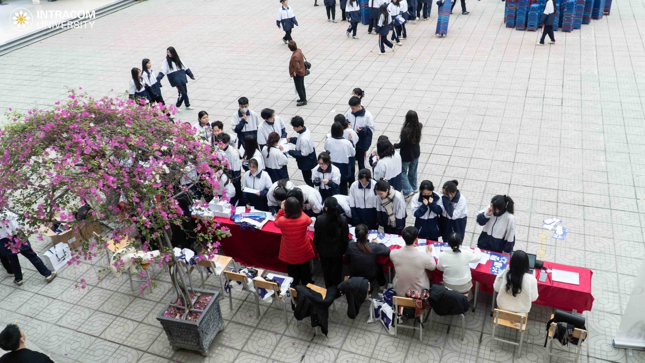 BES04937 11zon scaled