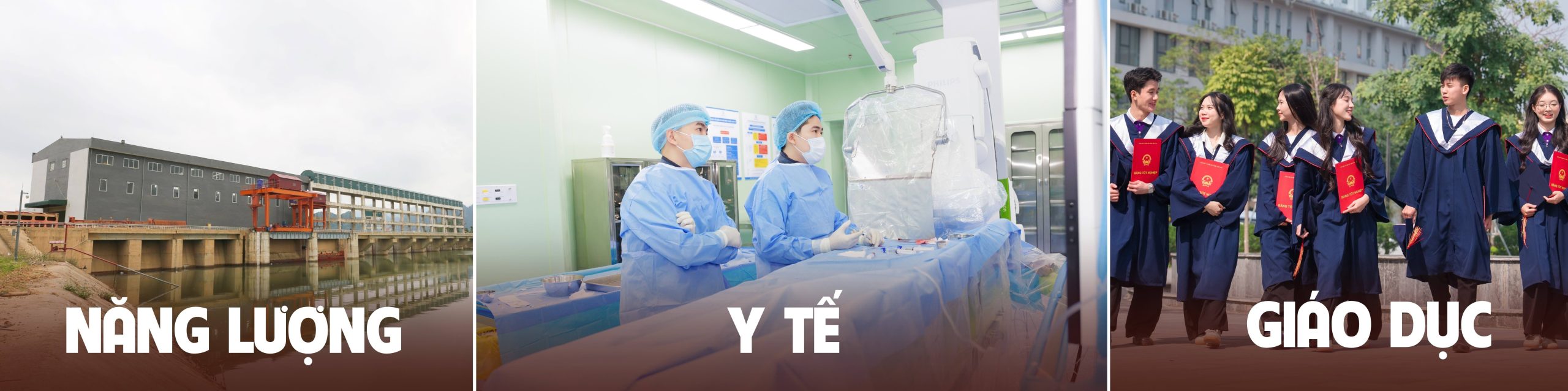 shark 3 1789 11zon scaled