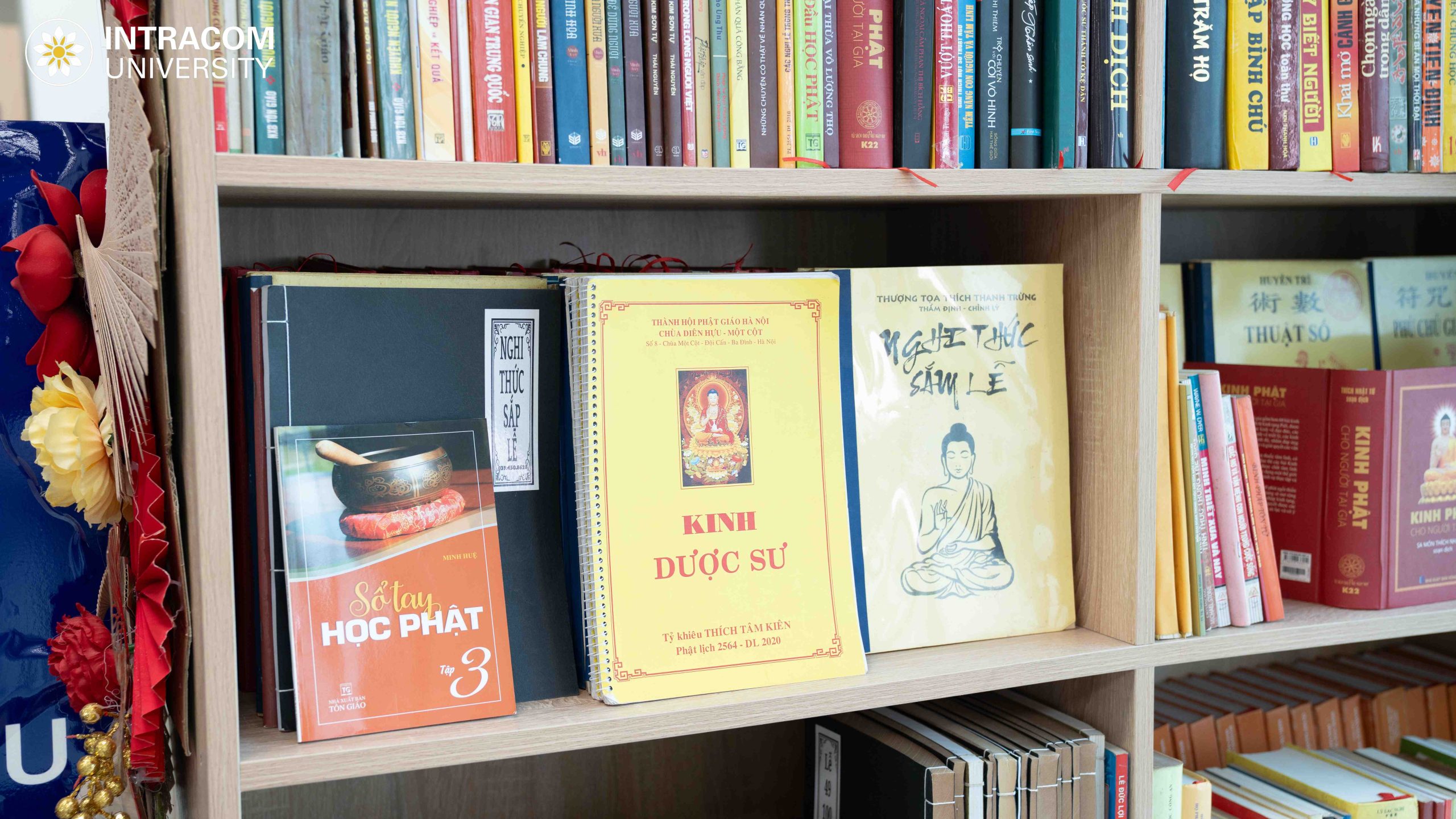 DSC03395 11zon scaled