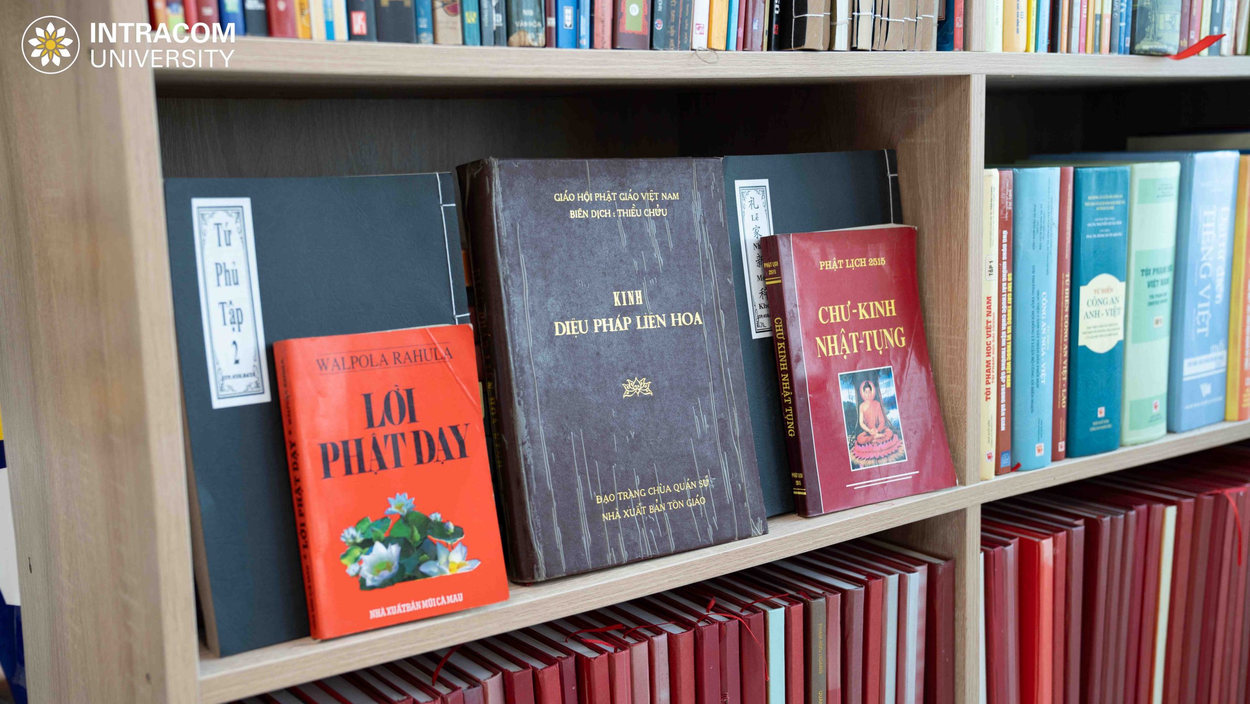 DSC03396 11zon scaled