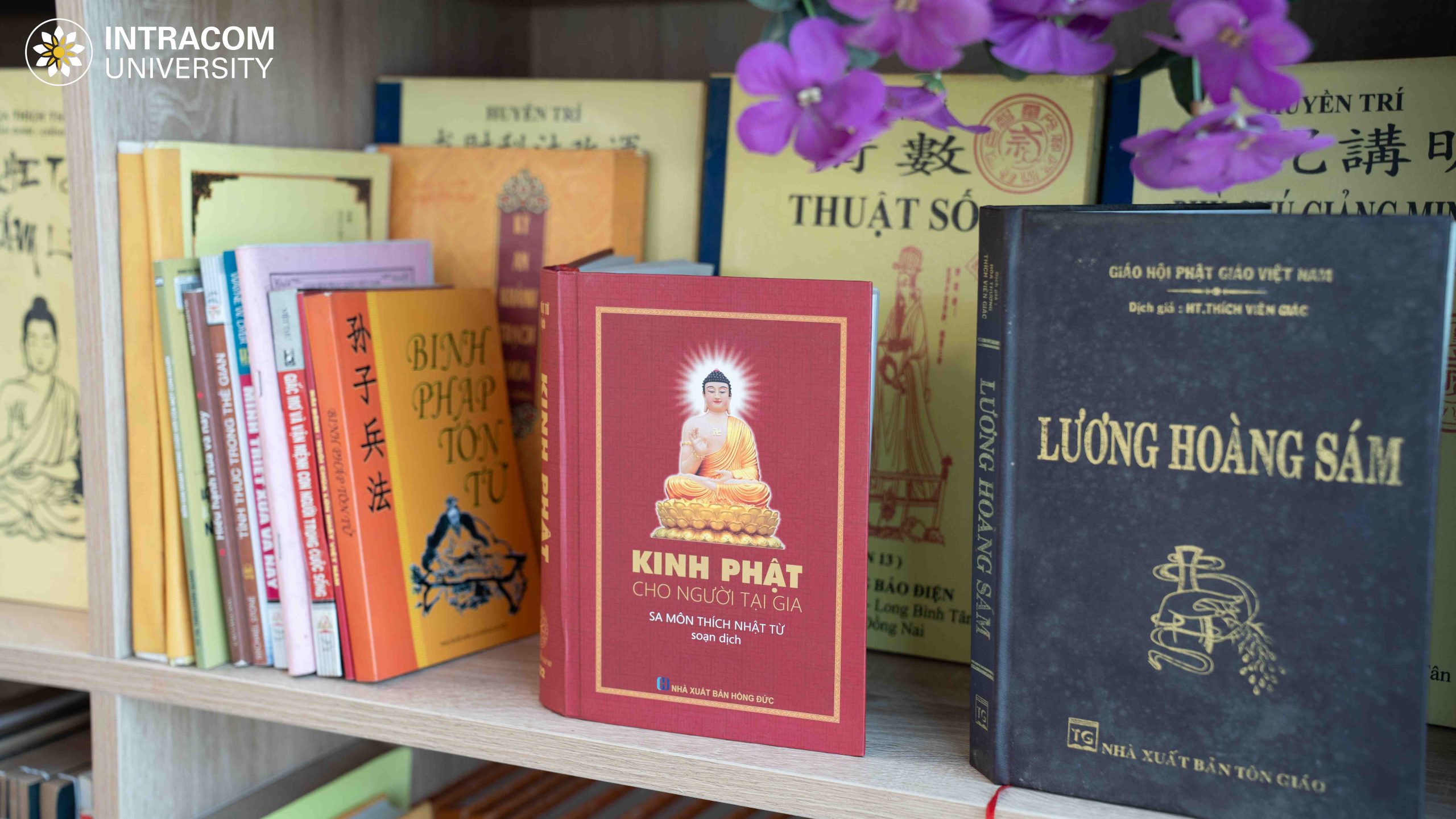 DSC03397 11zon scaled