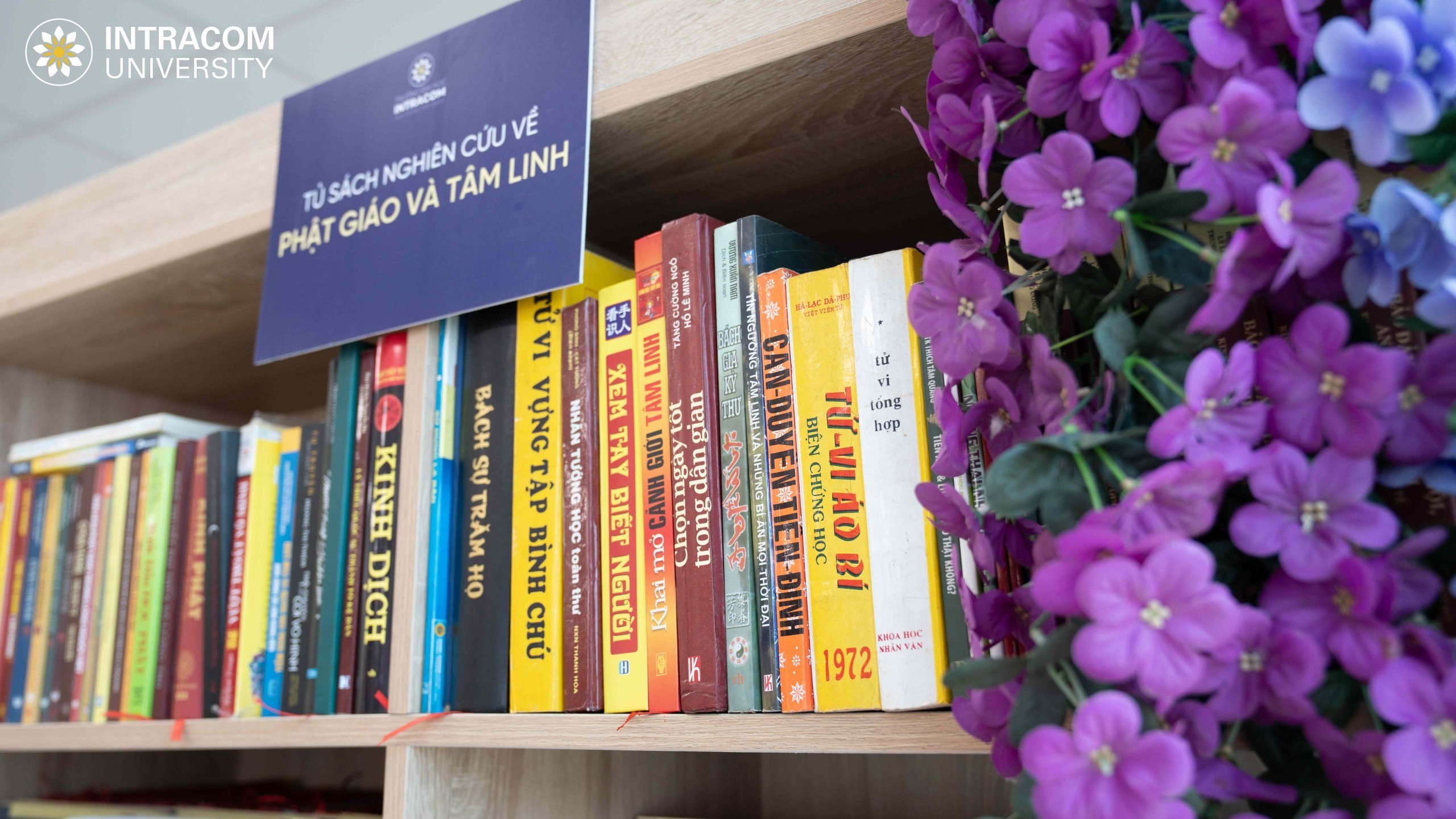 DSC03398 11zon scaled