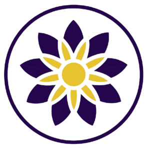 Logo Intracom University 1
